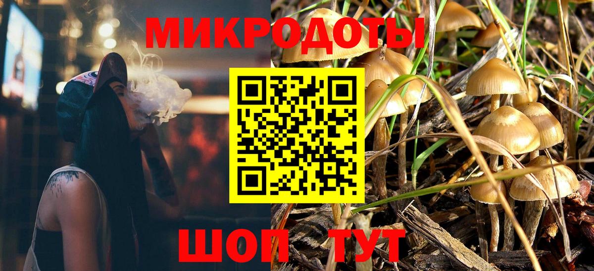 Галлюциногенные грибы Cubensis  Вход с VPN  Тосно 